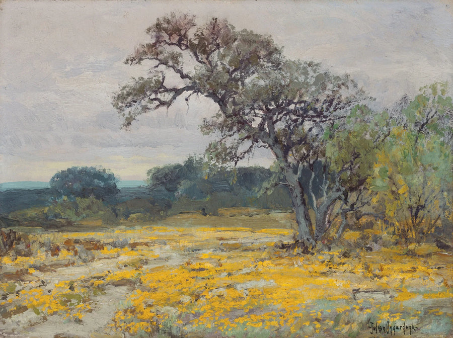 Coréopsis, nära San Antonio, Texas - Julian Onderdonk