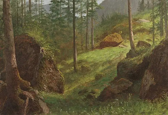 Skogskull - Albert Bierstadt