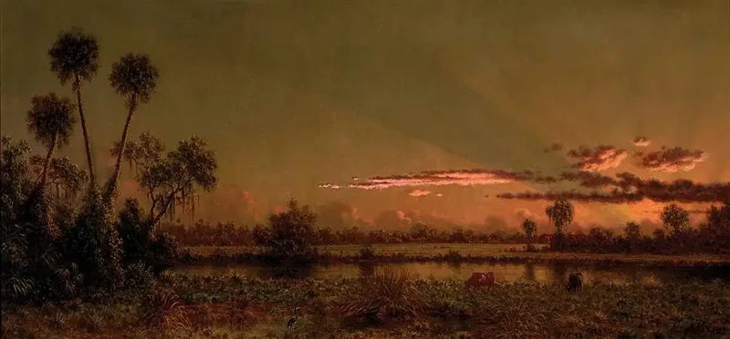 Tropisk solnedgång: Floridas träsk - Martin Johnson Heade