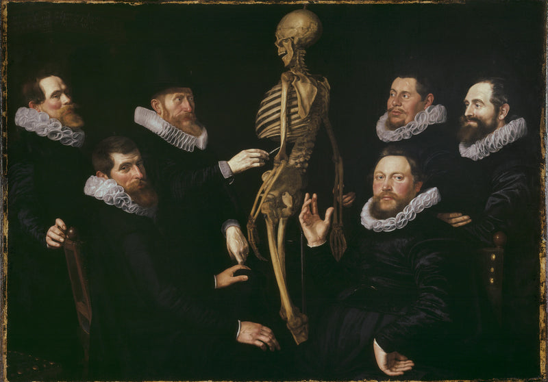 Cours d'ostéologie du Dr Sebastiaen Egbertsz. - Nicolaes Eliaszoon Pickenoy