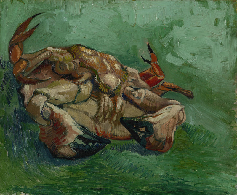 Krabba, liggande på rygg - Vincent van Gogh