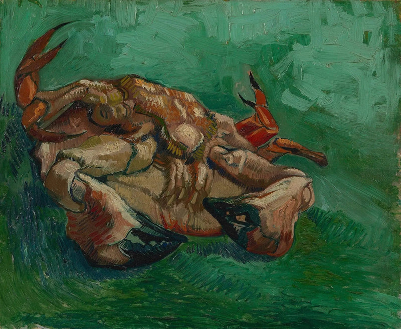 Krabba, liggande på rygg - Vincent van Gogh