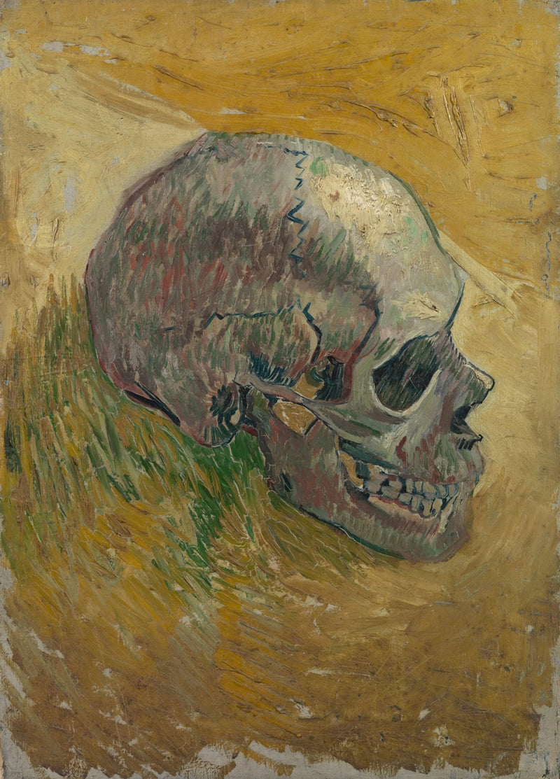 Skelettskalle - Vincent van Gogh