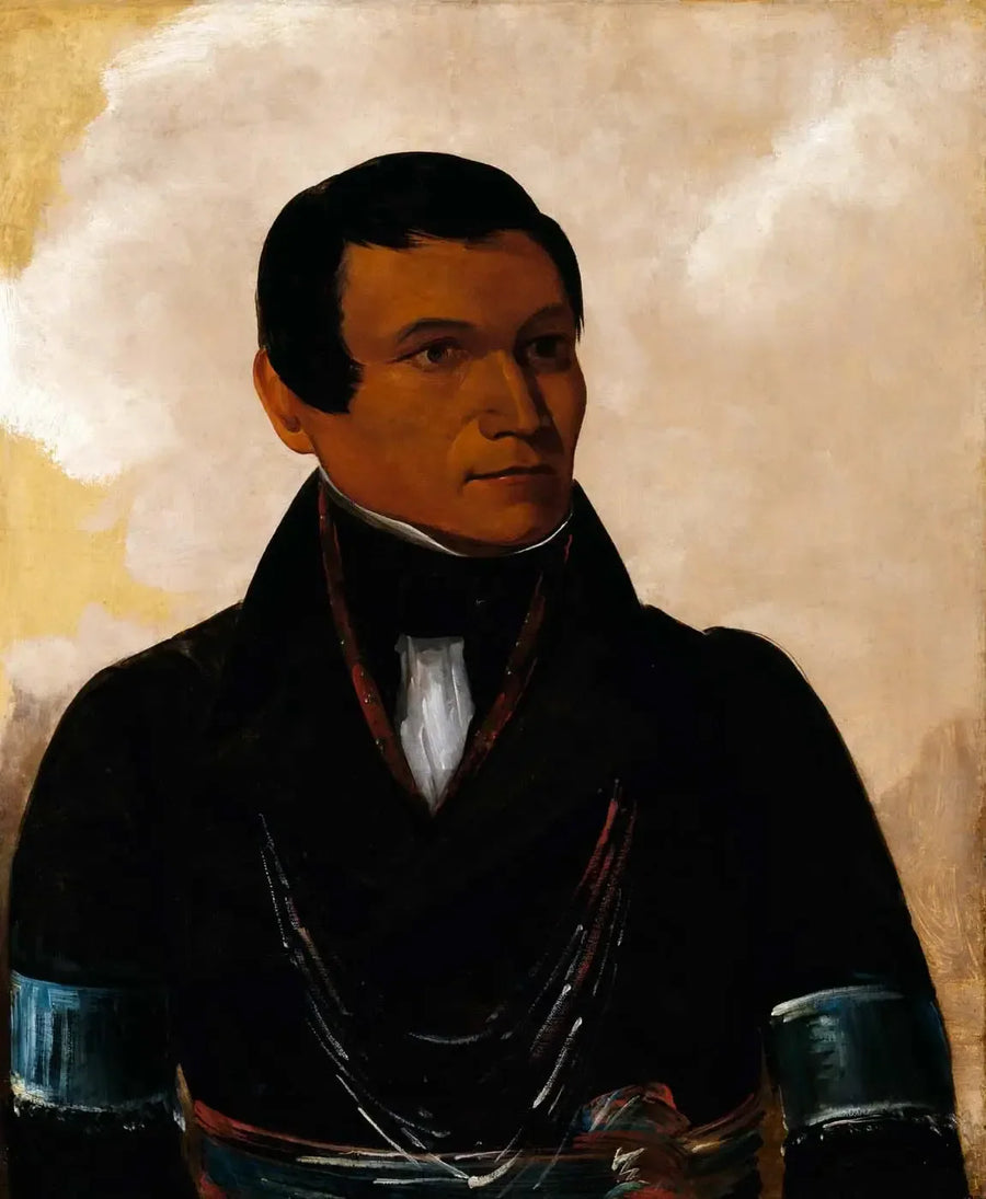 Cú-sick, chefens son - George Catlin
