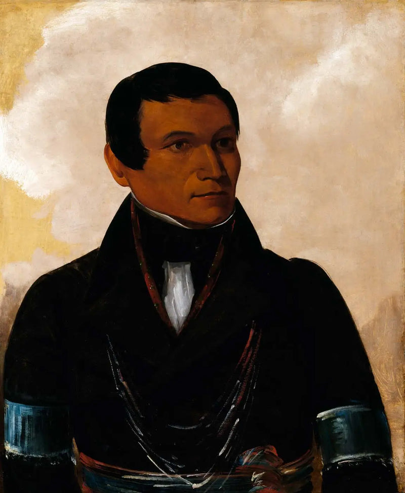 Cú-sick, chefens son - George Catlin