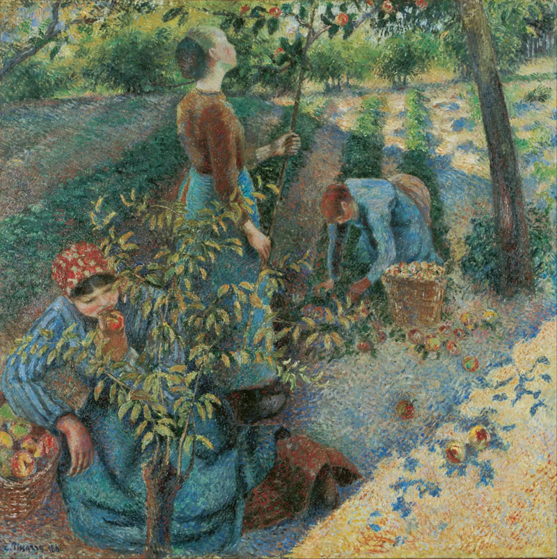 Äppelskörd - Camille Pissarro