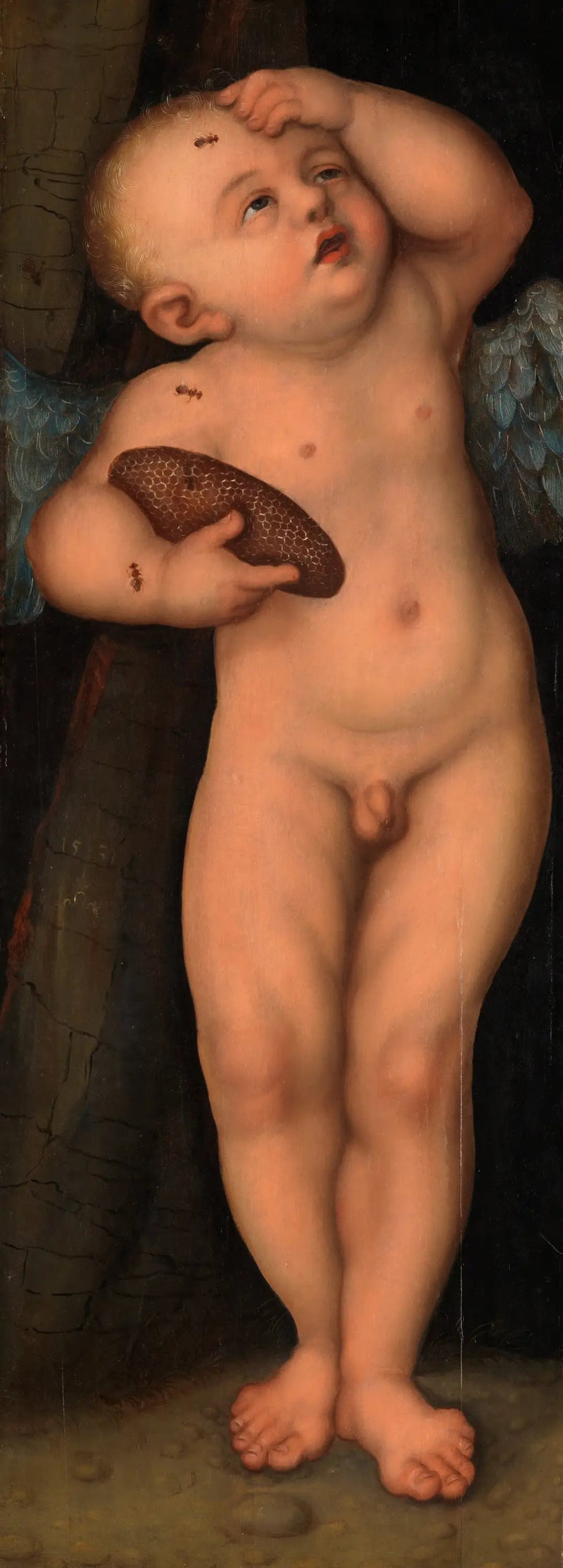 Cupido som honungsstjälare - Lucas Cranach den äldre