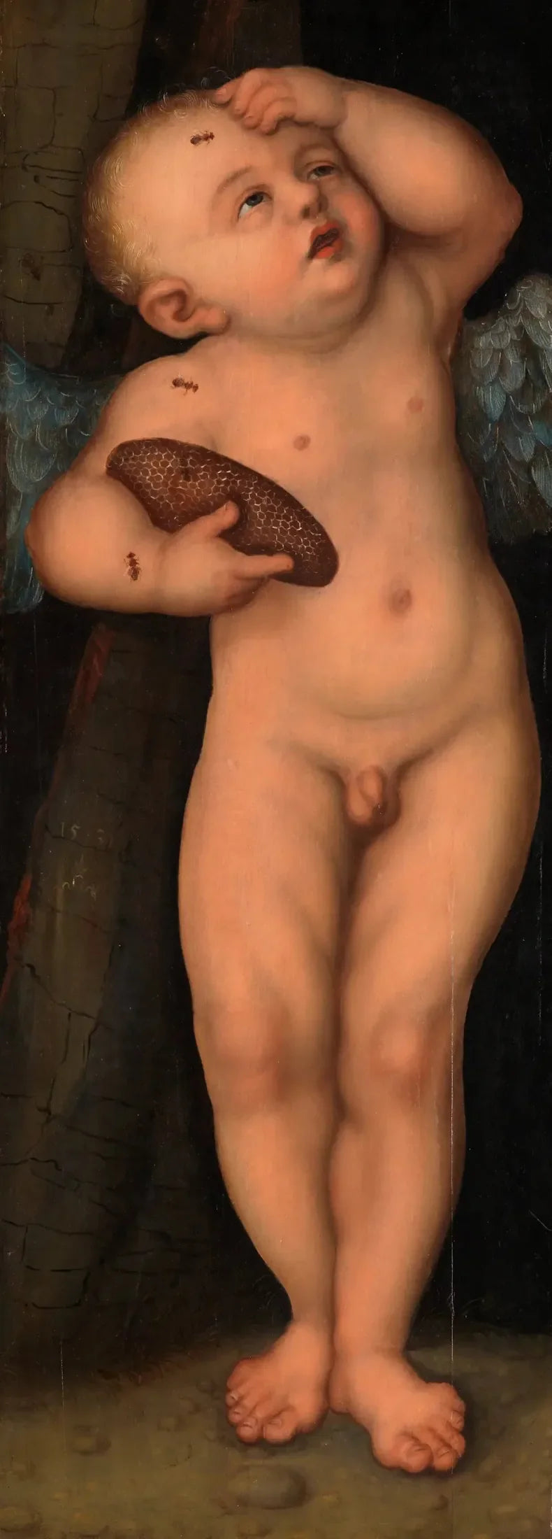 Cupido som honungsstjälare - Lucas Cranach den äldre