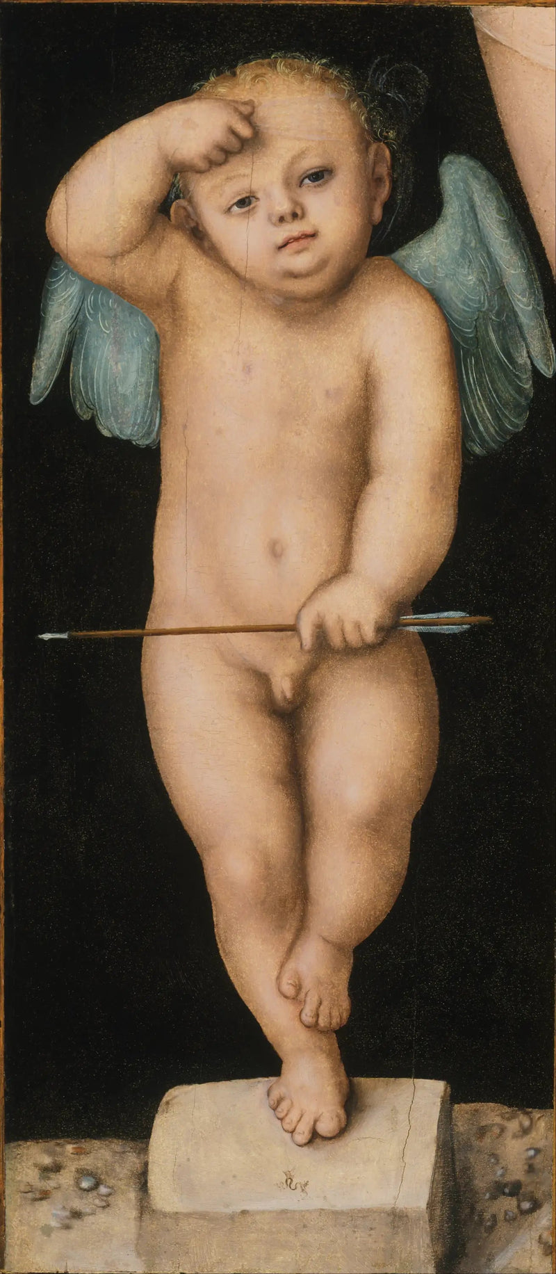 Cupido - Lucas Cranach den äldre