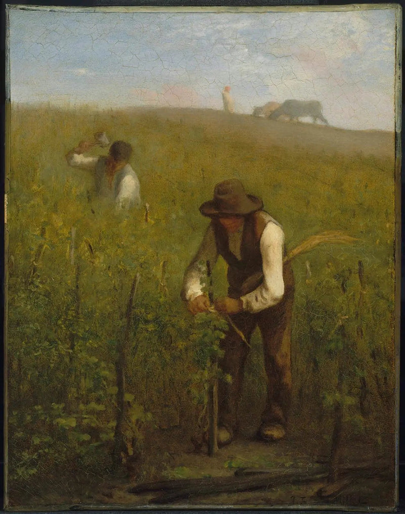 I vinodlingen - Jean-François Millet