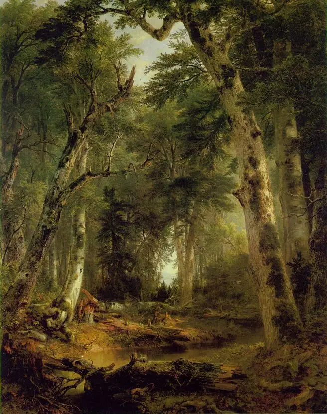 I skogen - Asher Brown Durand