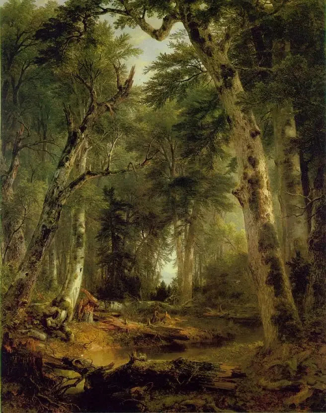 I skogen - Asher Brown Durand