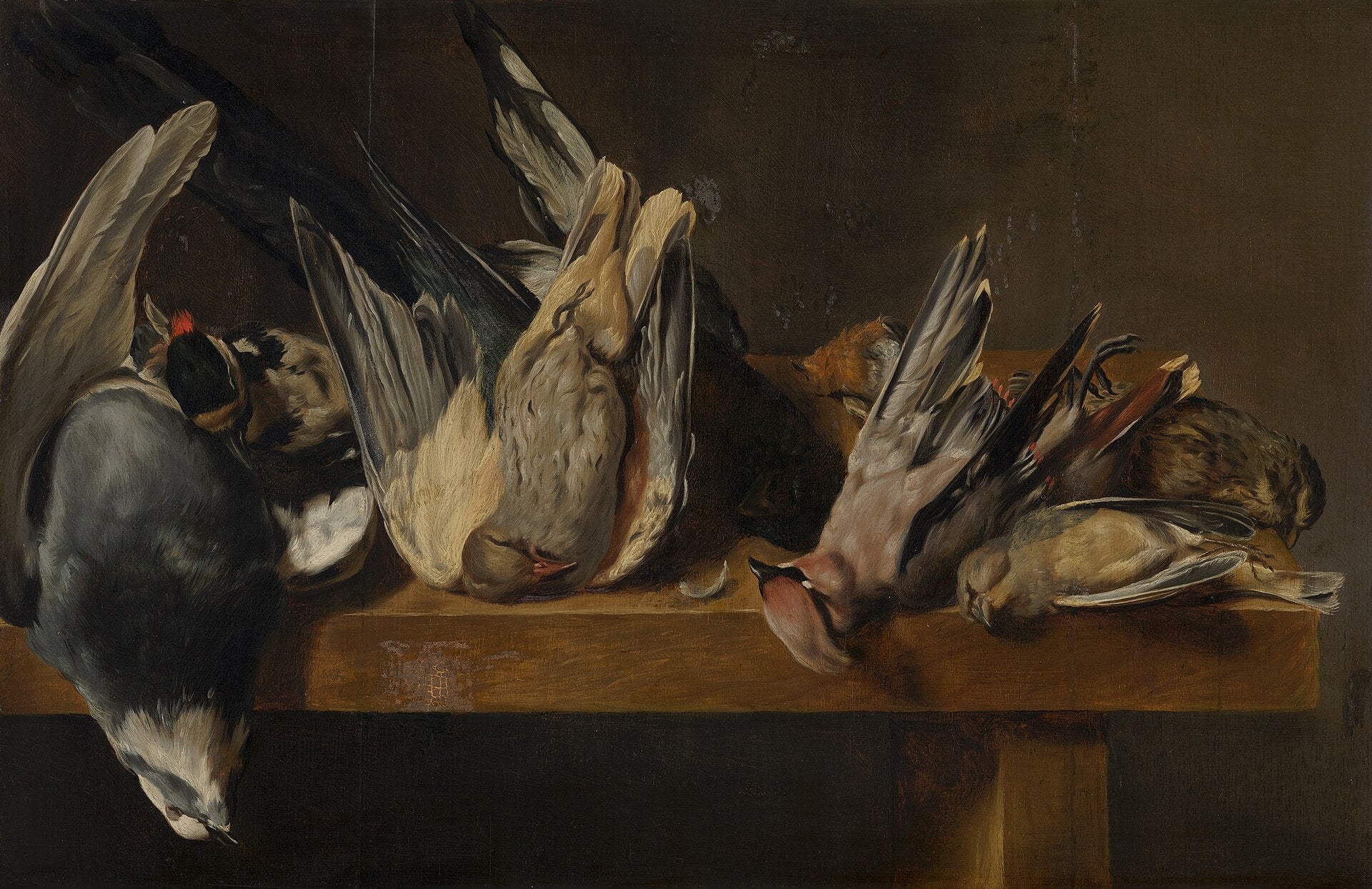 Nature morte avec oiseaux morts - Elias Vonck