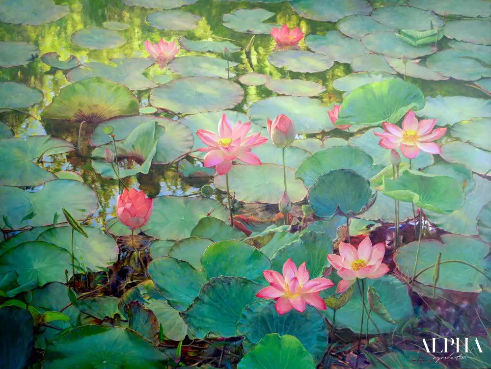 Découvrez Water Lilies and Lotuses II – Somchai | 200 x 150 cm Reproductions de tableaux à la peinture à l’huile