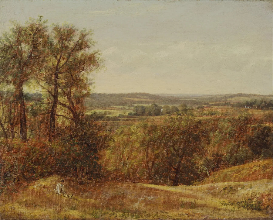 Dedham Vally - John Constable