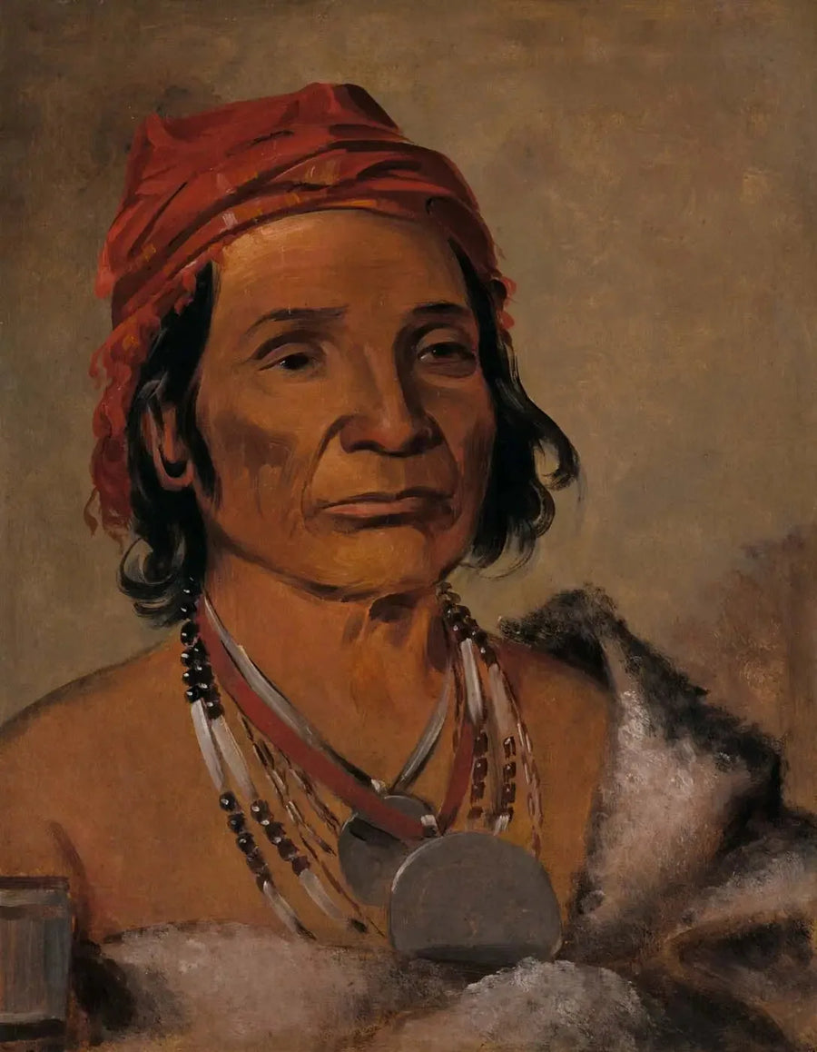 Djup sjö, en gammal chef - George Catlin
