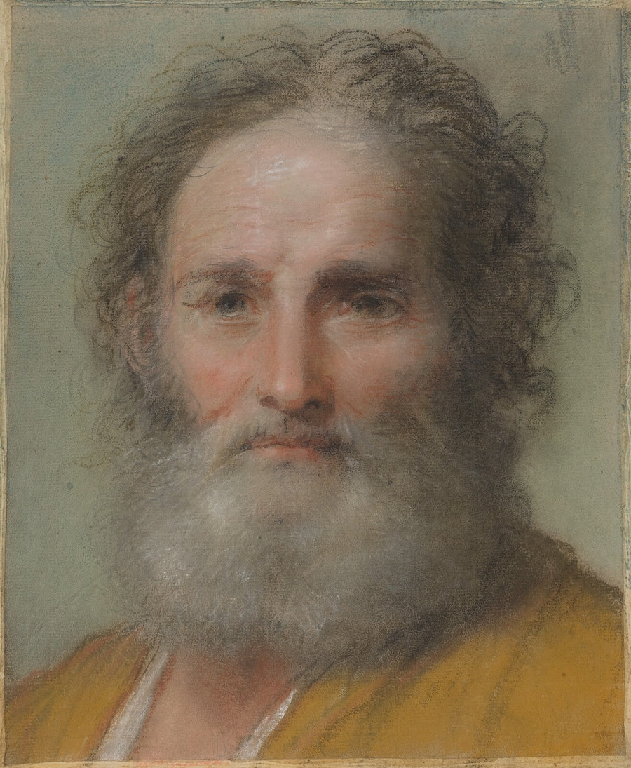 Head of a Bearded Man - Benedetto Luti