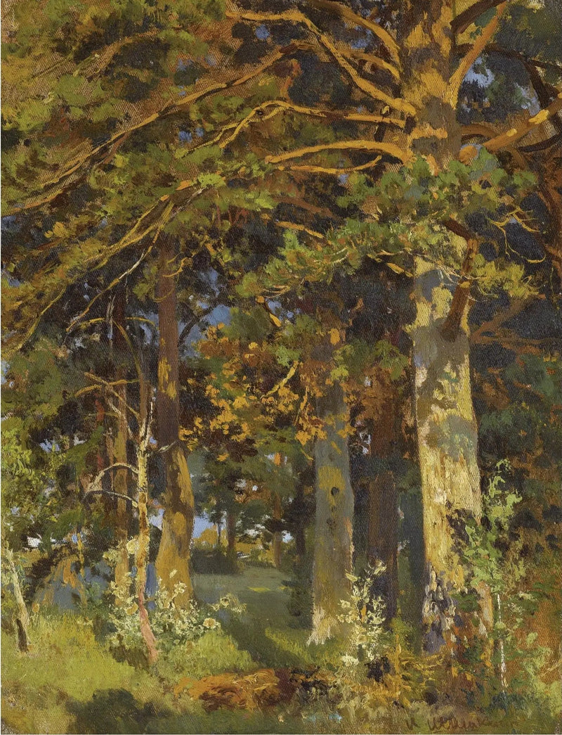 Skogsskövling - Ivan Chichkine