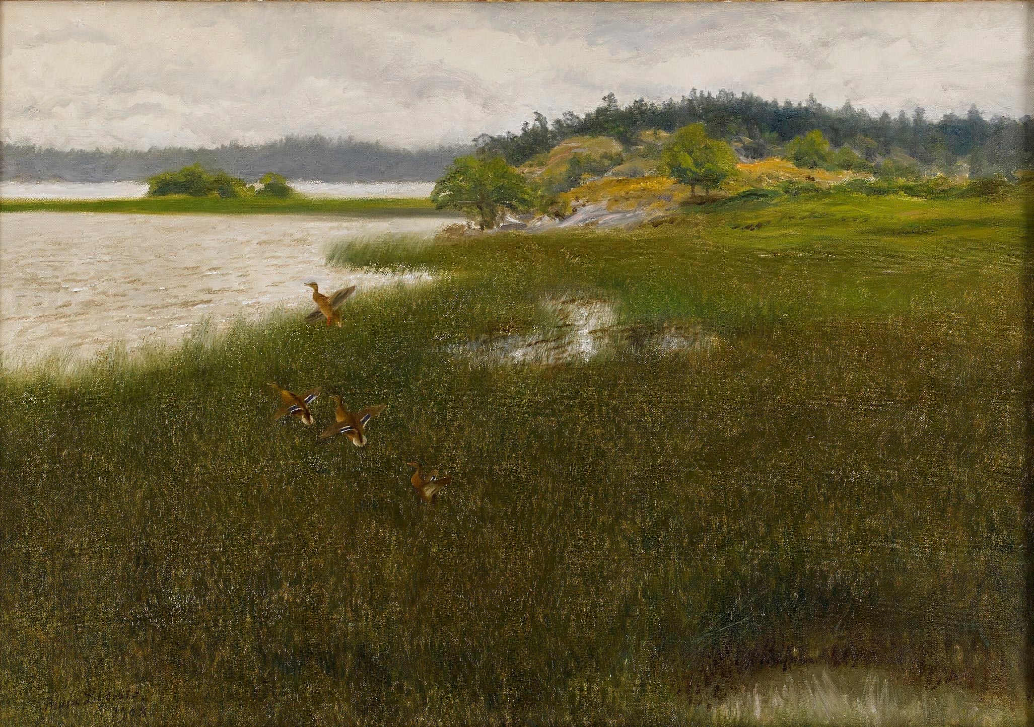 Des canards décollent - Bruno Liljefors