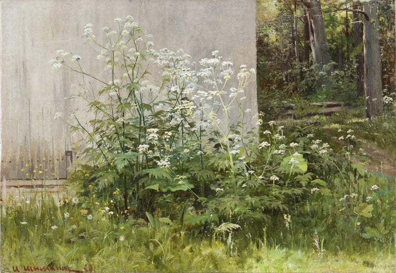 Blommor vid staketet - Ivan Chichkine