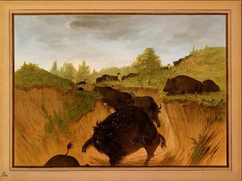 Grizzlars attackerar bisoner - George Catlin