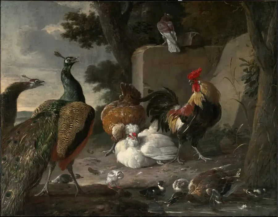 Påfåglar i sällskap med höns i en gårdsdrift - Melchior de Hondecoeter