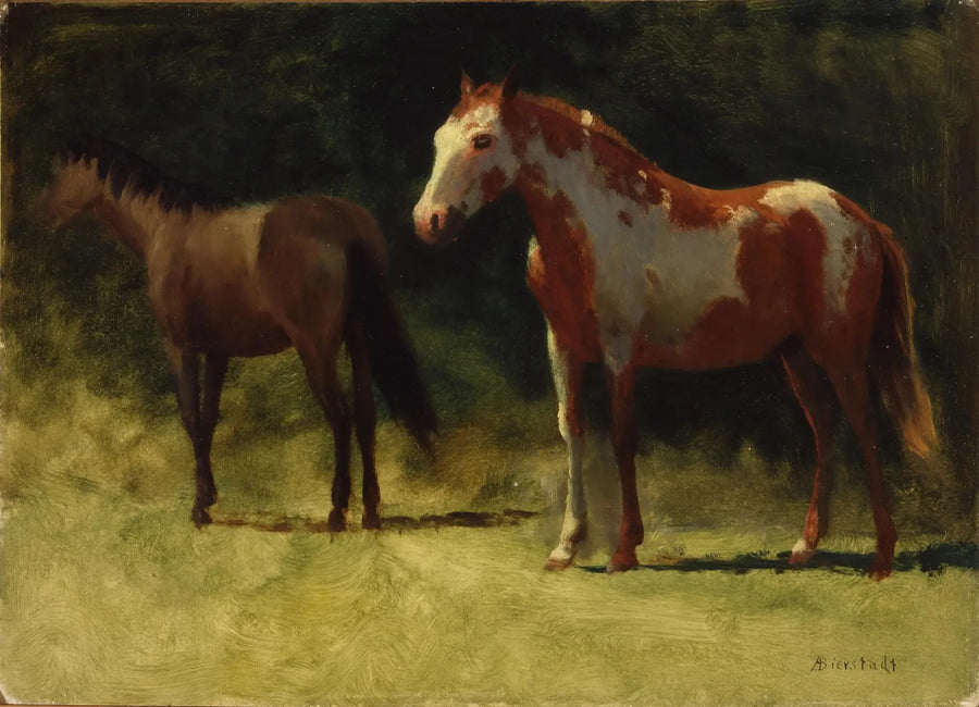 Två hästar - Albert Bierstadt