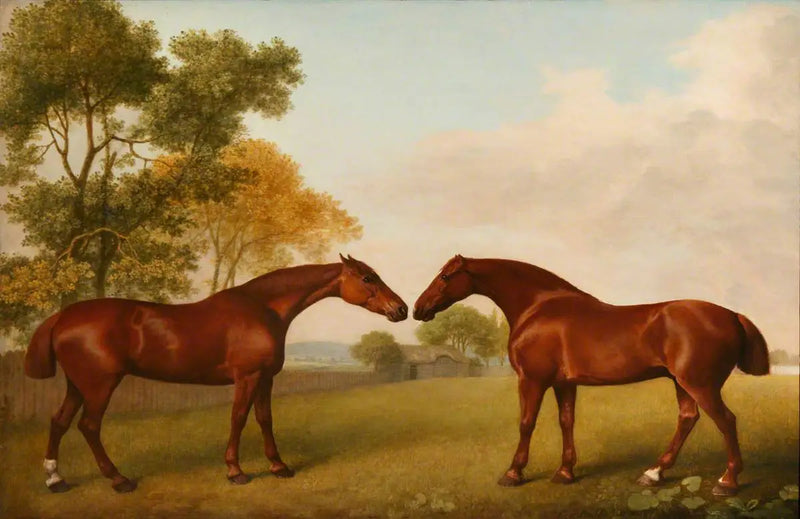 Två hästar i en hage - George Stubbs