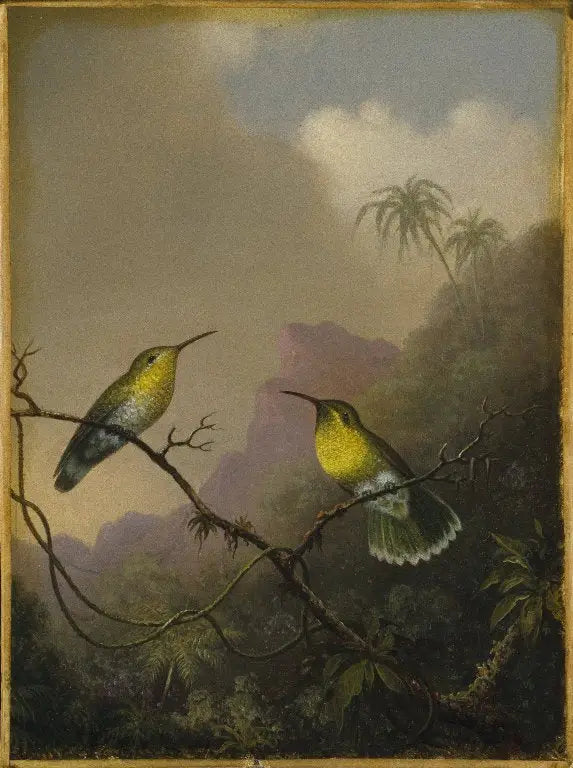 Två kolibrier: amazili med kopparfärgad stjärt - Martin Johnson Heade