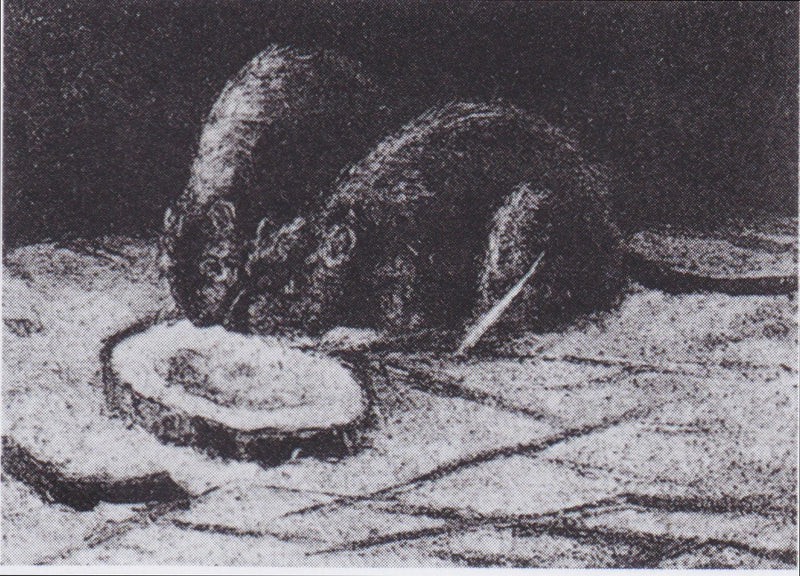 Två råttor - Vincent van Gogh