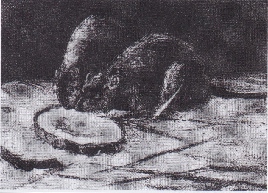 Två råttor - Vincent van Gogh