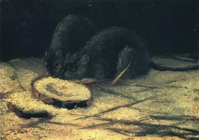 Två råttor - Vincent van Gogh