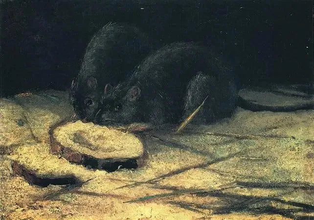 Två råttor - Vincent van Gogh