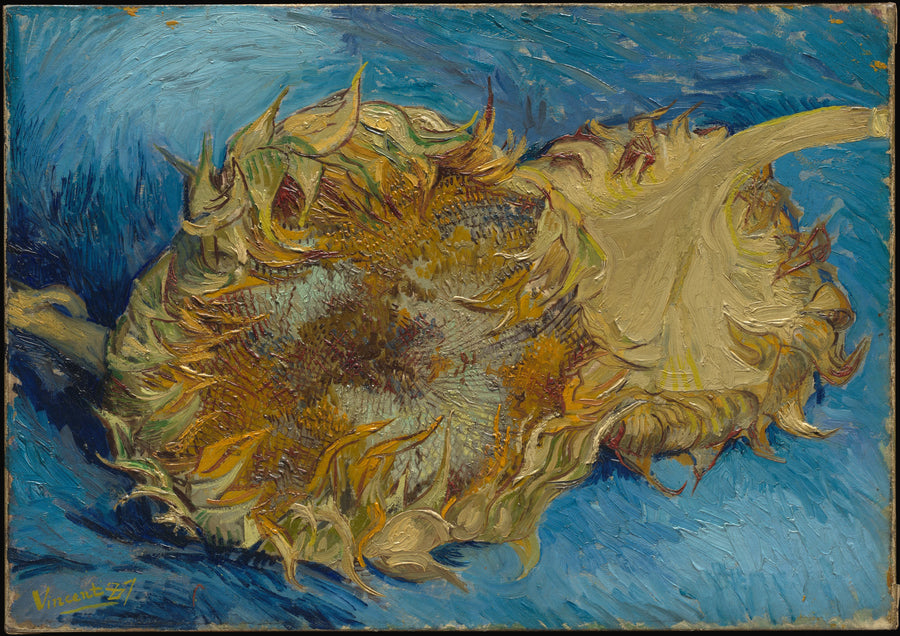 Två solrosor - Vincent van Gogh