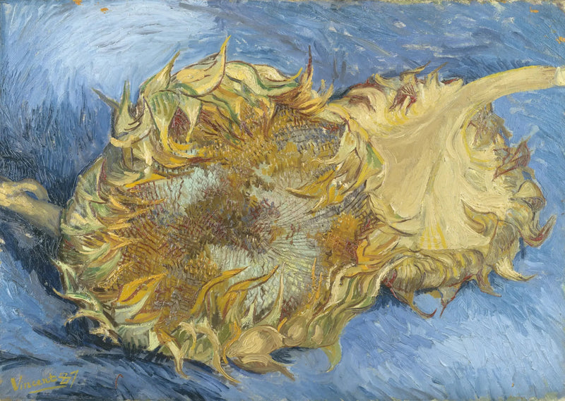 Två solrosor - Vincent van Gogh