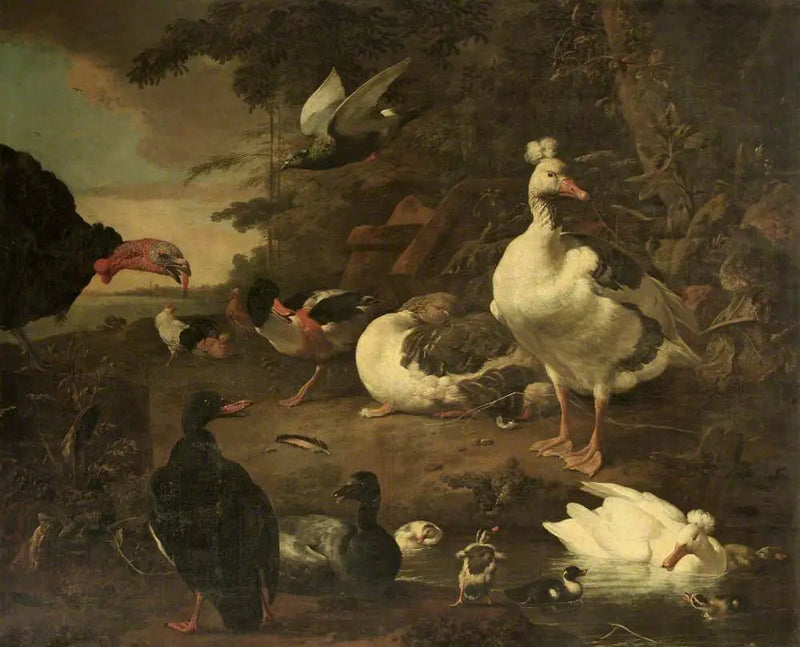 Kalkon, änder, Belon-tadorne och andra fåglar, i ett landskap med en bäck - Melchior de Hondecoeter