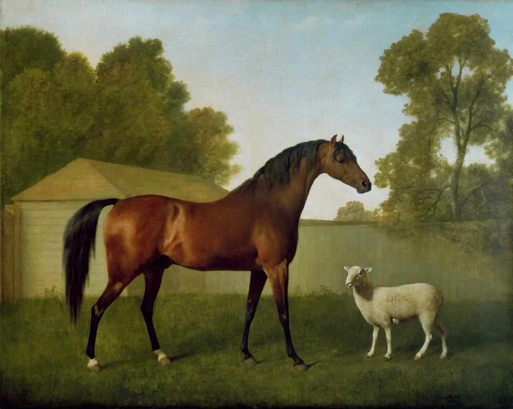 Dungannon propriété du colonel O’Kelly peint dans un paddock avec un mouton - George Stubbs - Alpha Reproduction