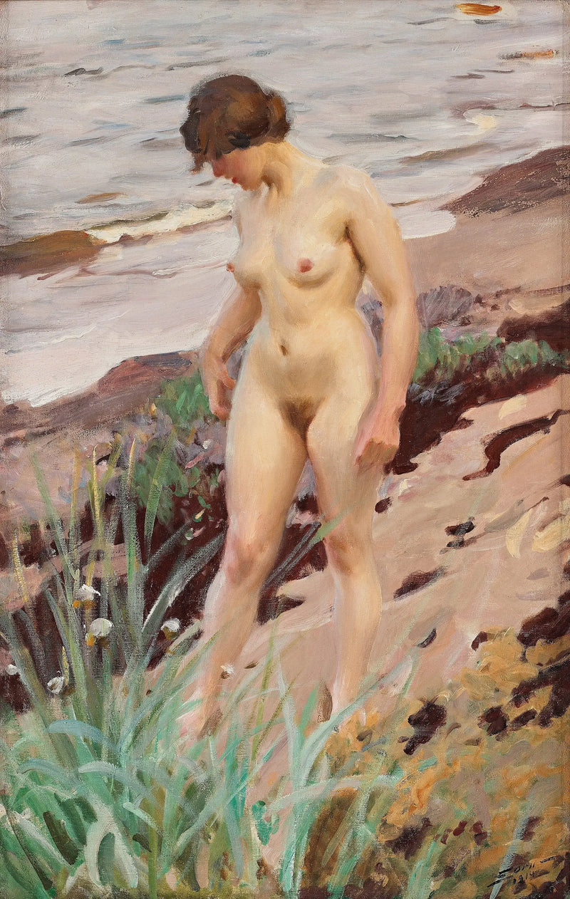 Sandhamneffekten - Anders Zorn
