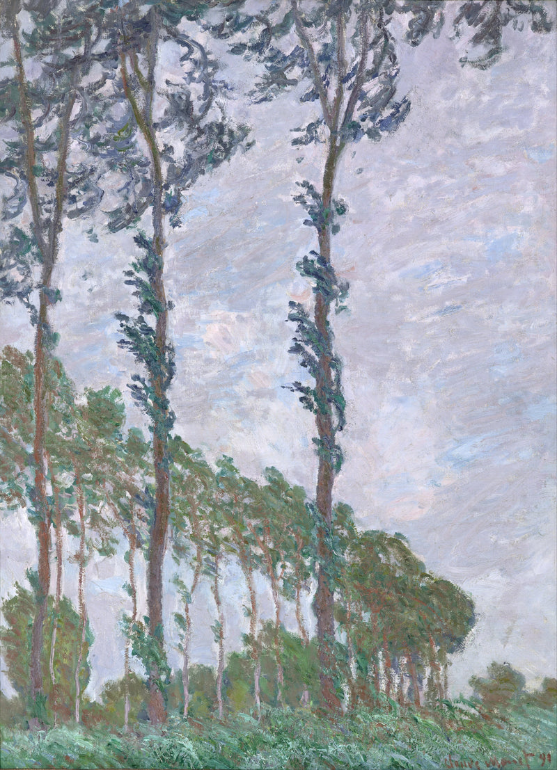 Blåseffekt, Poplars serie W1302 - Claude Monet