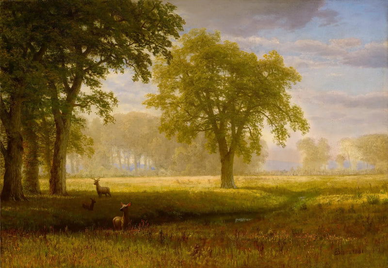 Élan i Oak Grove (Tuolumne Meadows) - Albert Bierstadt