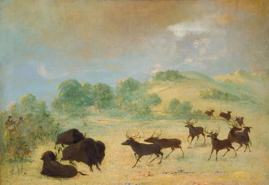 Elan och bison som lär känna varandra, Texas - George Catlin