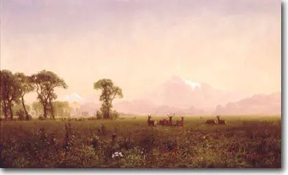 Elans betar i Wind River-området - Albert Bierstadt