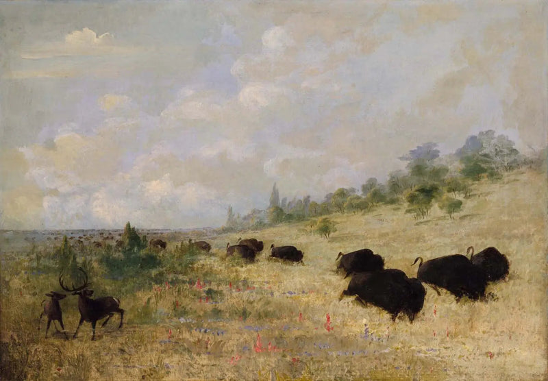 Eleganter och bison som betar bland ängsblommor, Texas - George Catlin