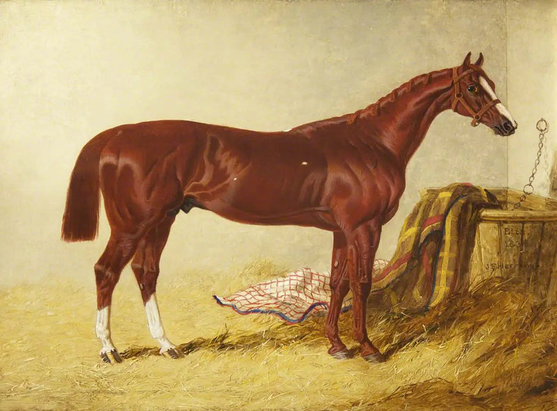 Elis, vinnare av St Leger Stakes, 1836, i en separat box - John Frederick Herring, Sr.
