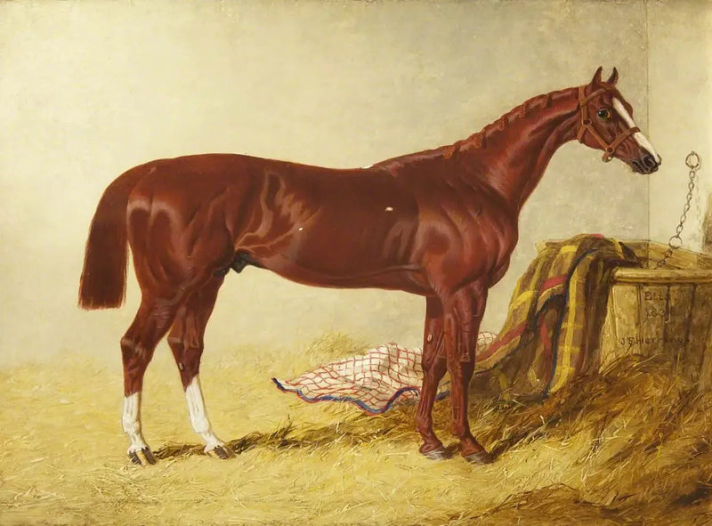 Elis, vinnare av St Leger Stakes, 1836, i en separat box - John Frederick Herring, Sr.