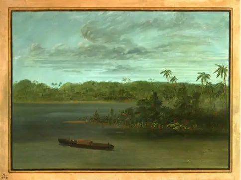 Embouchure av Rio Purus - George Catlin