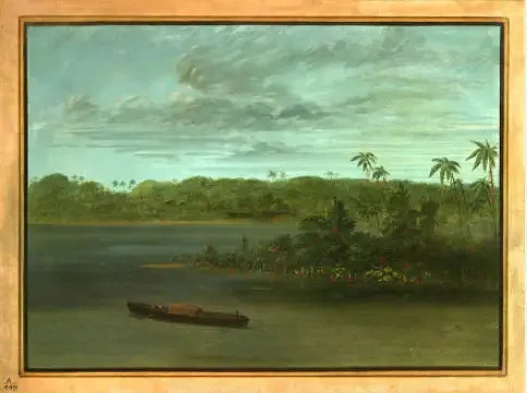 Embouchure av Rio Purus - George Catlin