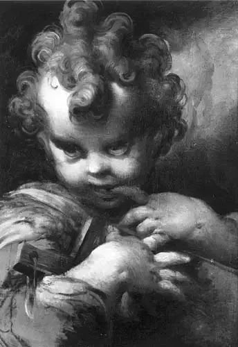 Barn Saint Jean - Parmigianino