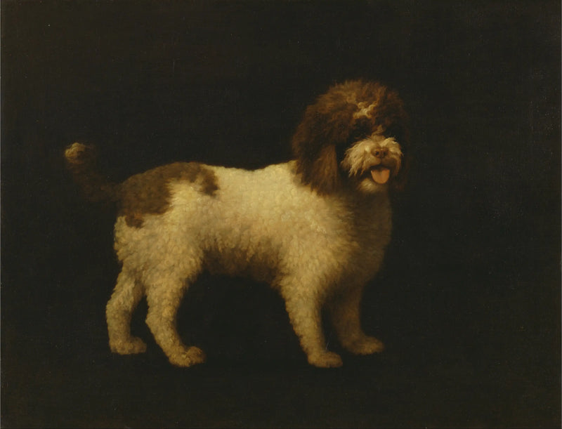 Vattenspets - George Stubbs