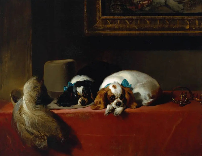 King Charles Spaniel (« Ryttarens husdjur ») - Edwin Henry Landseer